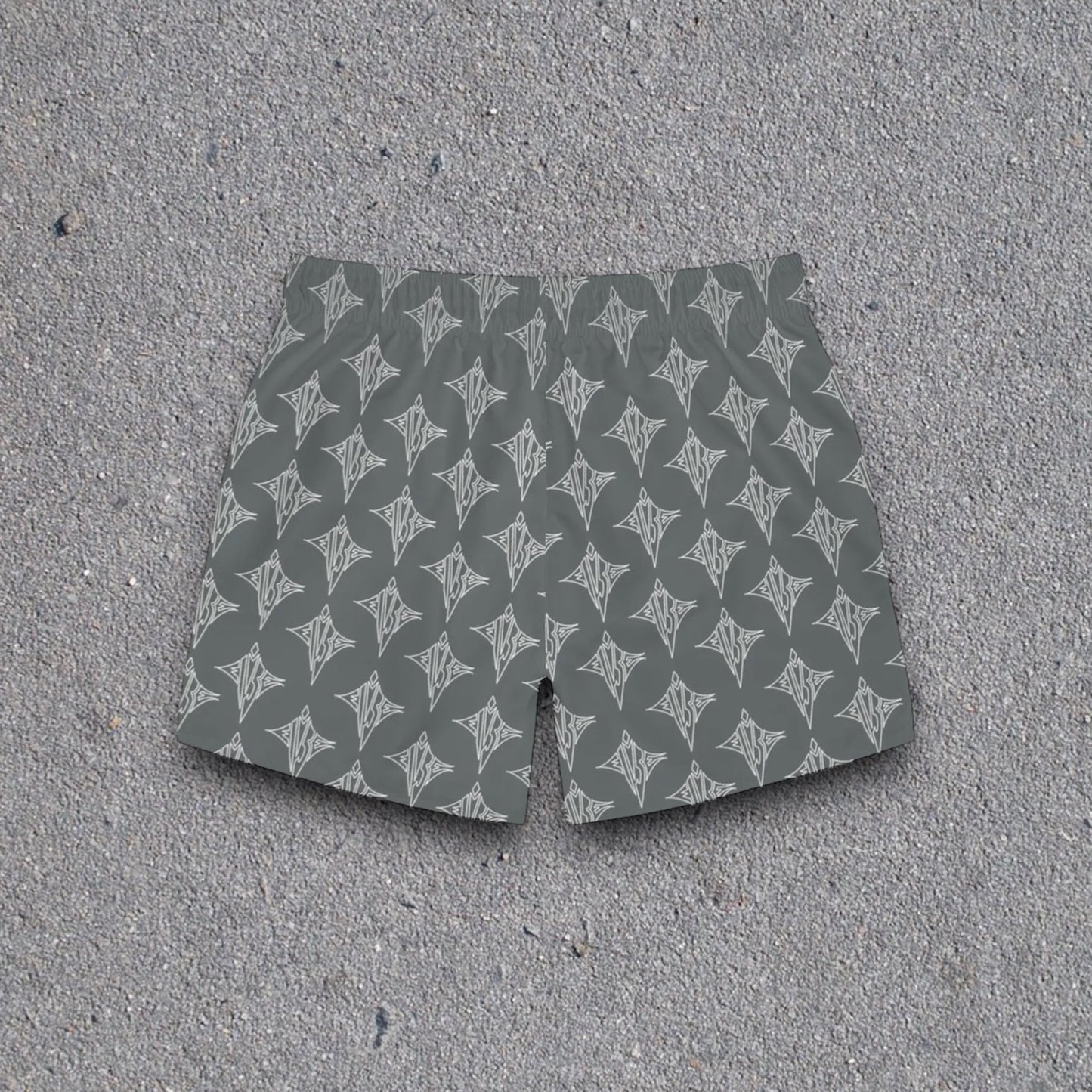 Greyhound Men’s Swim Shorts